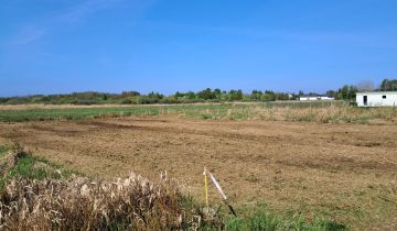 Działka rolna Dąbki, ul. Polna