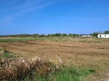 Działka rolna Dąbki, ul. Polna