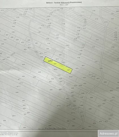 Działka leśna Bełżyce. Zdjęcie 1