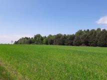 siedlisko, 4 pokoje Pląskowice, Pląskowice 30. Zdjęcie 3