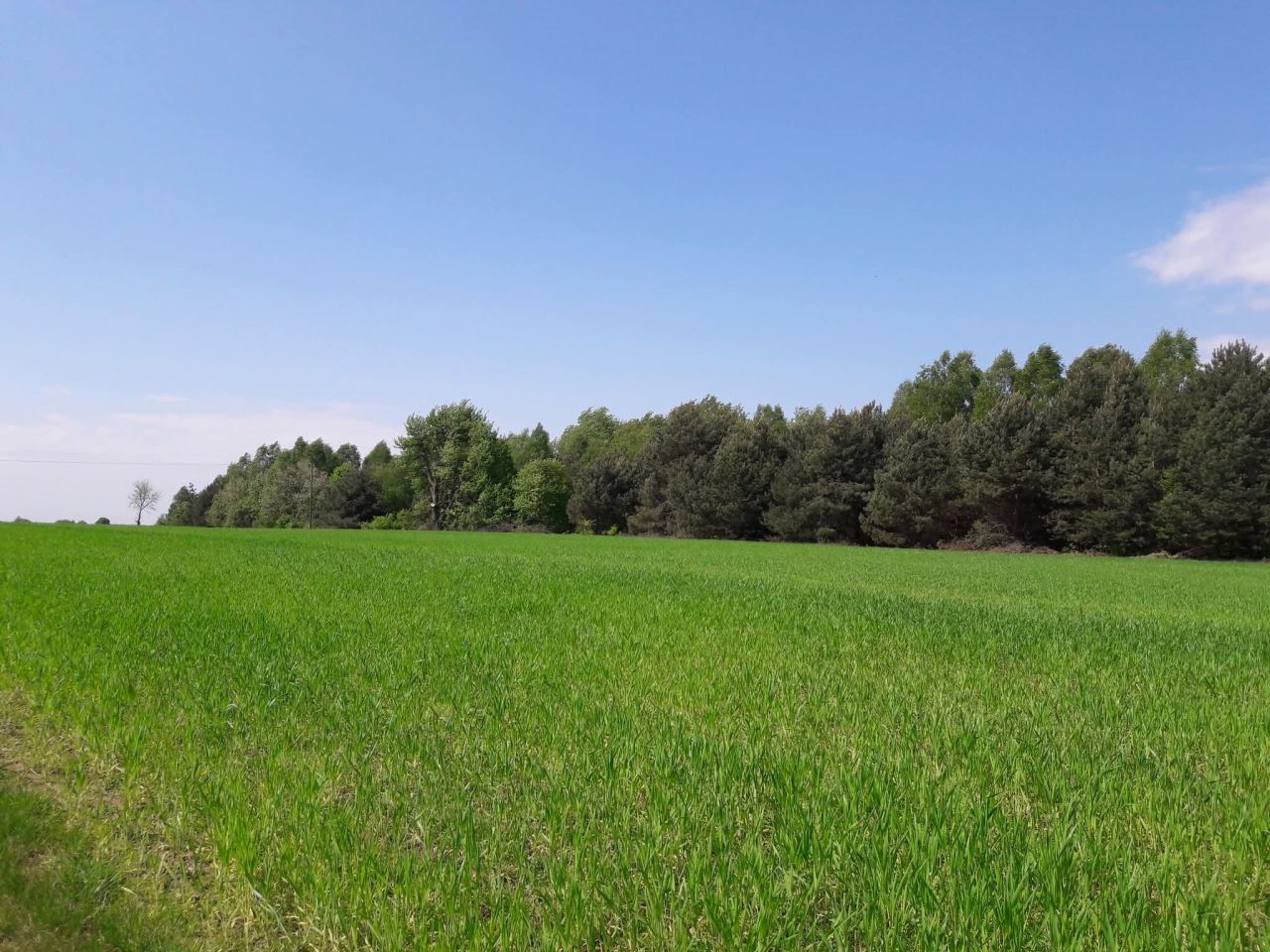 siedlisko, 4 pokoje Pląskowice, Pląskowice 30. Zdjęcie 4