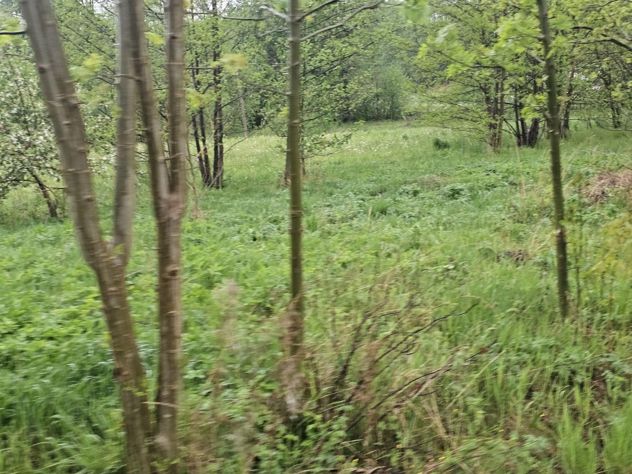 dom wolnostojący, 2 pokoje Sielec. Zdjęcie 24