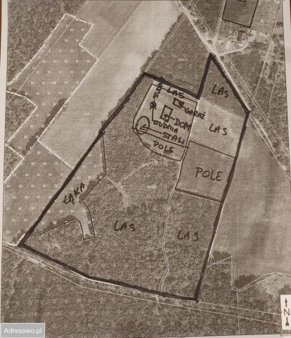 Działka Lubichowo. Zdjęcie 1