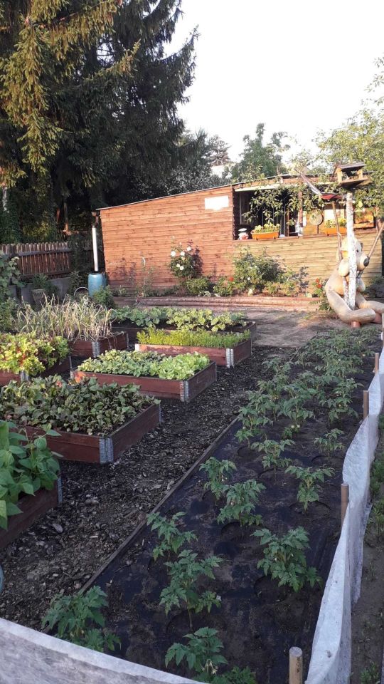 Działka rekreacyjna Sosnowiec, ul. gen. Władysława Andersa