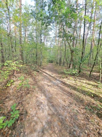 Działka rekreacyjna Kamińsko. Zdjęcie 7