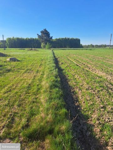 Działka budowlana Regny, ul. Leśna. Zdjęcie 1