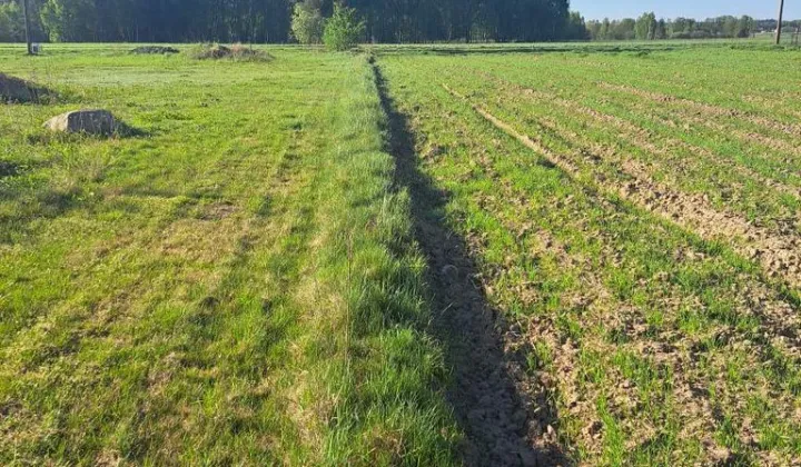 Działka budowlana Regny, ul. Leśna