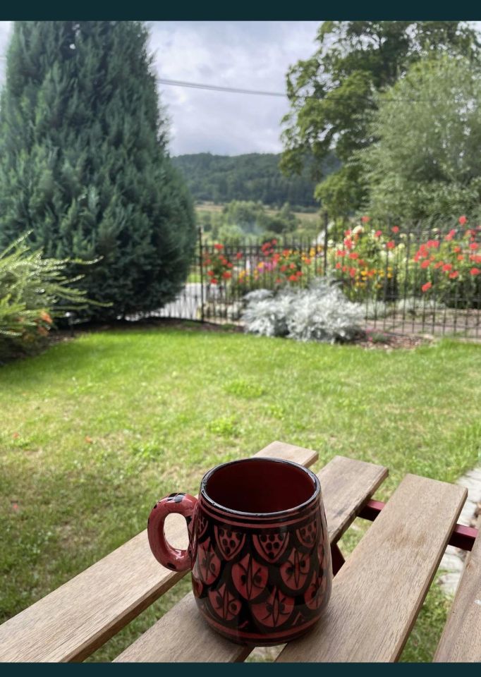 Mieszkanie 1-pokojowe Dzikowiec Dębówka