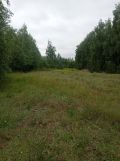 Działka inna Karolew. Zdjęcie 1