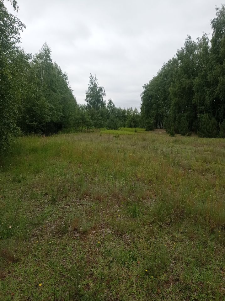 Działka inna Karolew. Zdjęcie 2