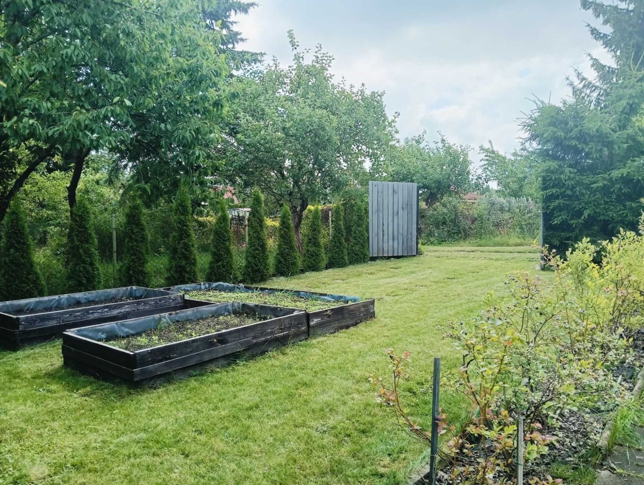 Działka rod Klebark Mały. Zdjęcie 6