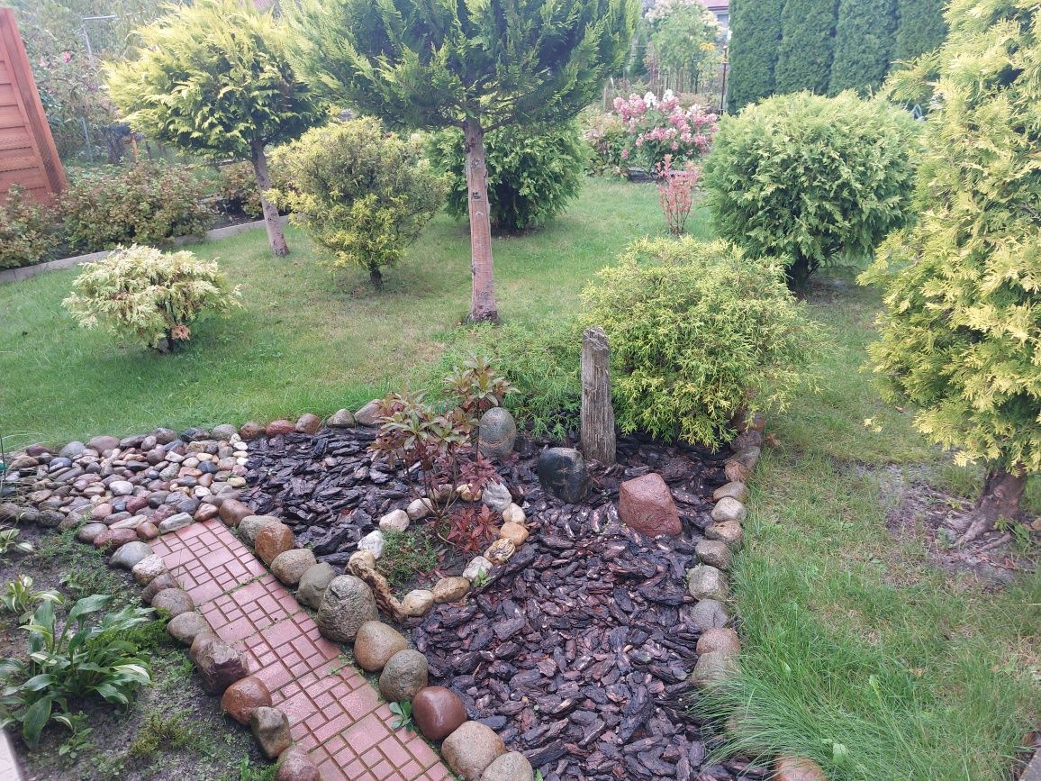 Działka rod Bełchatów. Zdjęcie 5