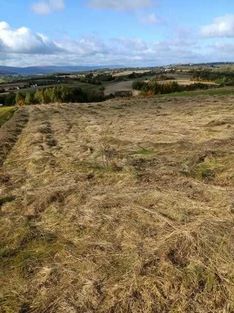 Działka rolno-budowlana Skały. Zdjęcie 4