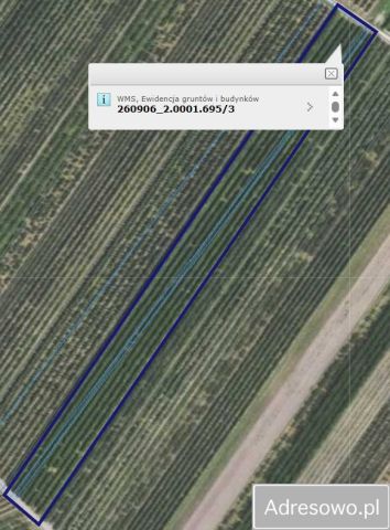 Działka rolna Bilcza. Zdjęcie 1