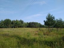 Działka budowlana Bartoszylas. Zdjęcie 1