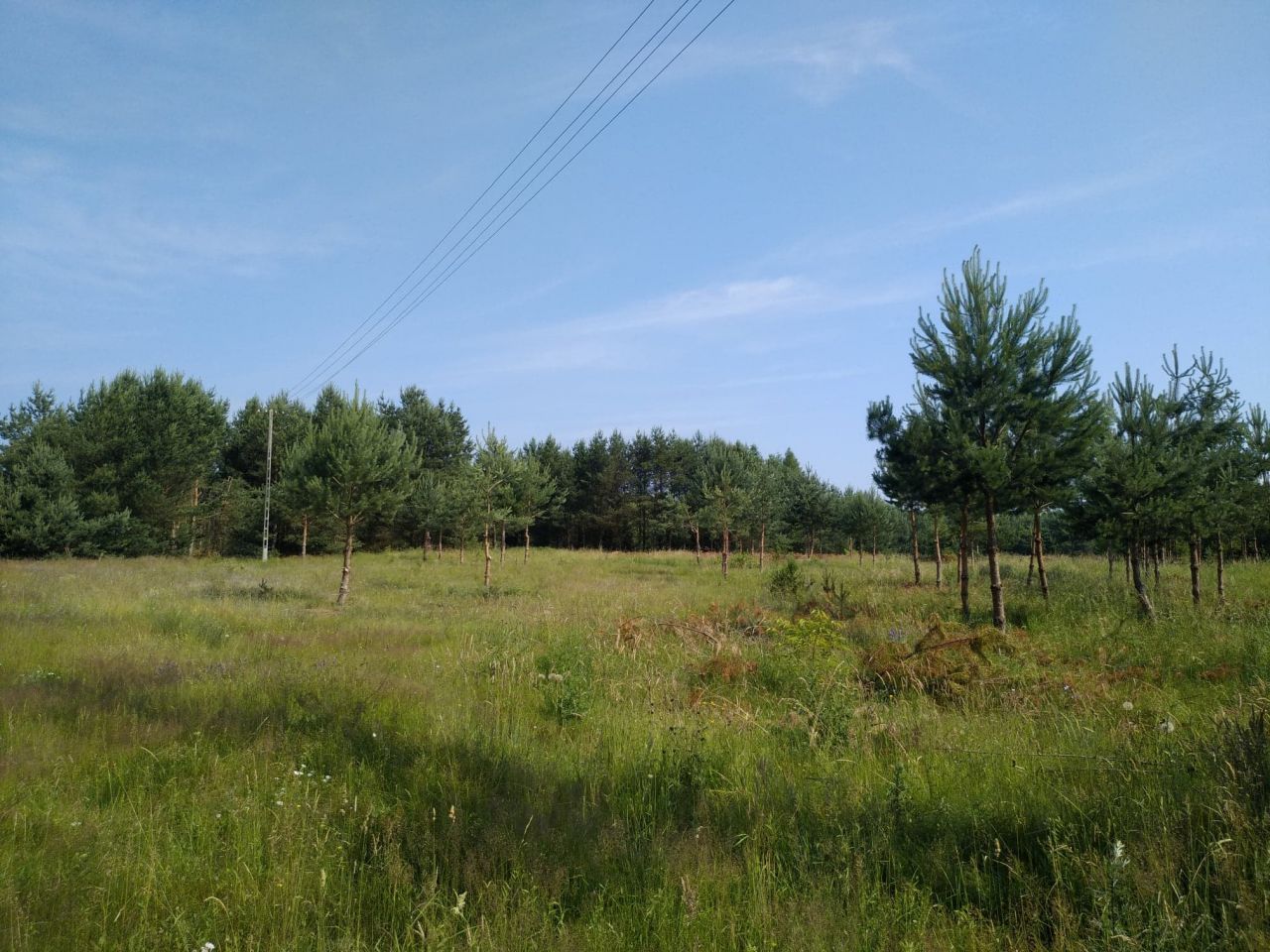 Działka budowlana Bartoszylas. Zdjęcie 2