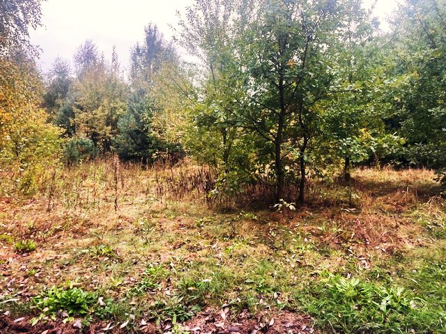 Działka budowlana Barcice Drwalewskie. Zdjęcie 4