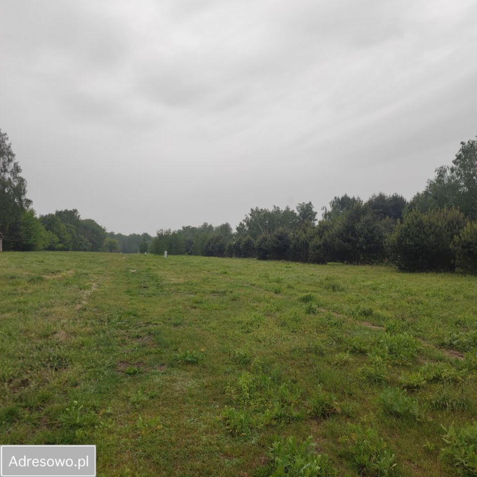 Działka budowlana Budy-Grzybek, ul. Potockiego. Zdjęcie 3