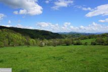 Działka rolno-budowlana Wilcza. Zdjęcie 2