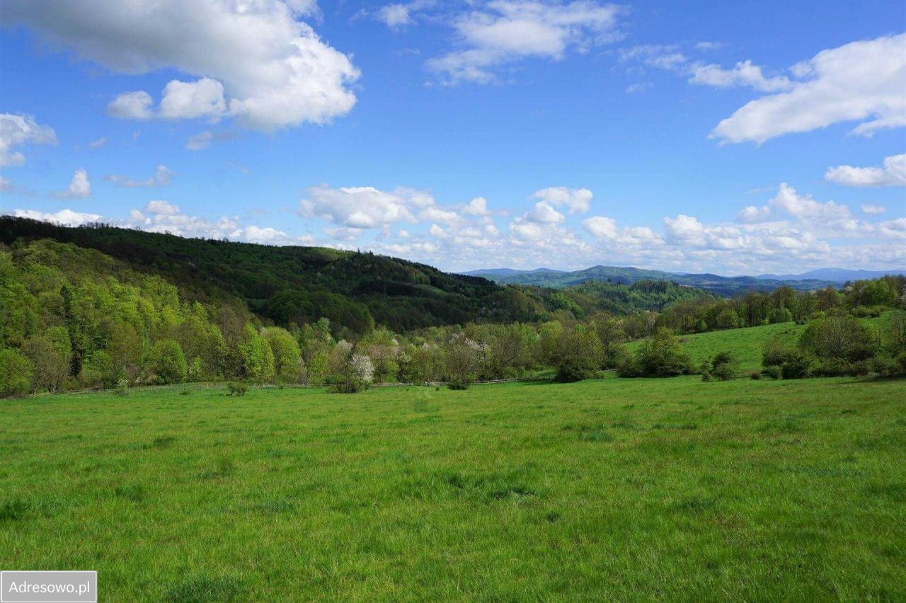 Działka rolno-budowlana Wilcza. Zdjęcie 3