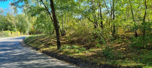 Działka budowlana Żółwin. Zdjęcie 5