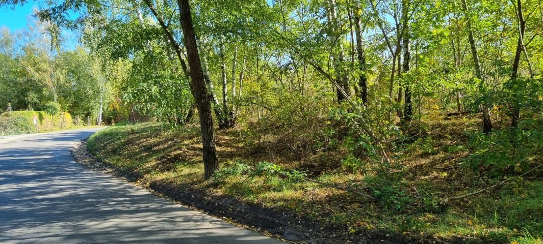 Działka budowlana Żółwin. Zdjęcie 5