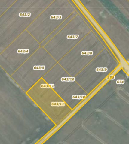 Działka rolno-budowlana Konradówka Gołaczów. Zdjęcie 1