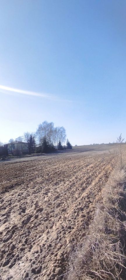 Działka rolno-budowlana Dys, ul. Wiśniowa. Zdjęcie 2