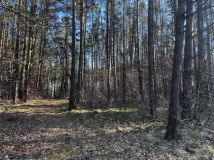 Działka inwestycyjna Maszkowo. Zdjęcie 4