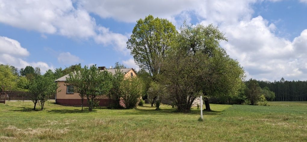 siedlisko, 3 pokoje Żdżarka. Zdjęcie 1