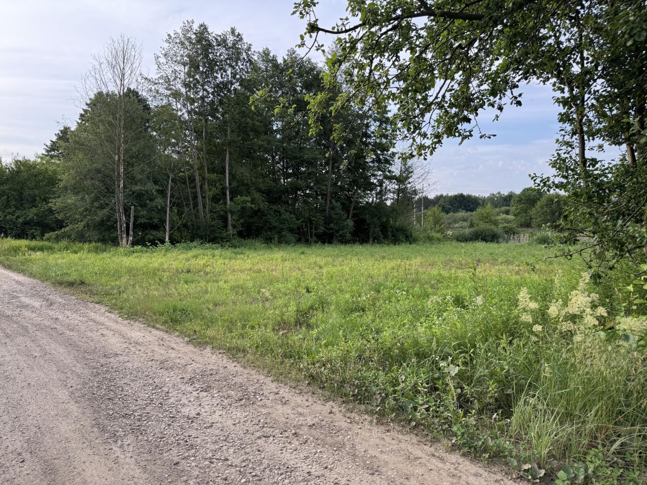 Działka budowlana Nowa Wieś, ul. Wypoczynkowa. Zdjęcie 1