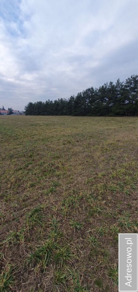 Działka budowlana Czeszewo. Zdjęcie 5