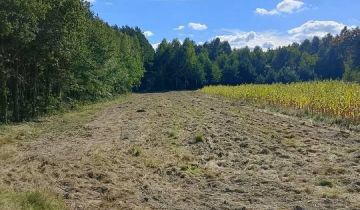 Działka rolna Podwody-Kolonia