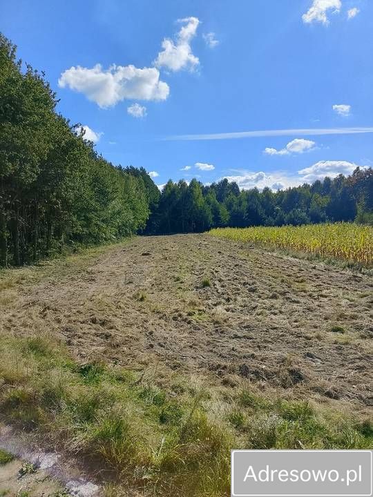 Działka rolna Podwody-Kolonia. Zdjęcie 2