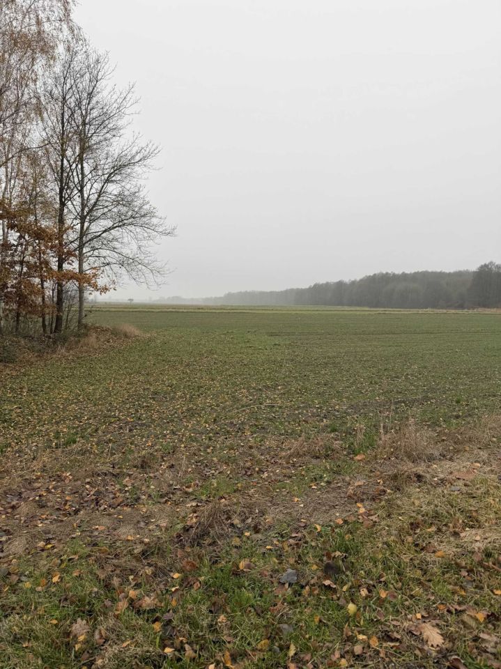 Działka rolno-budowlana Filipinów. Zdjęcie 4