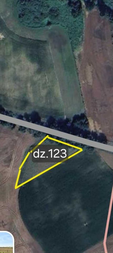 Działka budowlana Zieleń. Zdjęcie 3