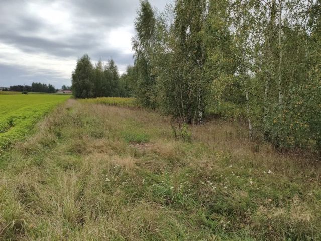 Działka siedliskowa Cempkowo. Zdjęcie 1