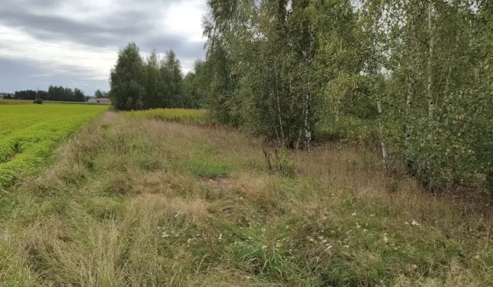 Działka siedliskowa Cempkowo