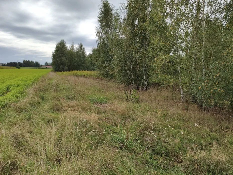 Działka siedliskowa Cempkowo