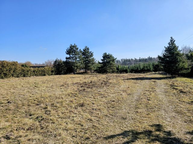 Działka budowlana Osuchów, ul. Leśna. Zdjęcie 5