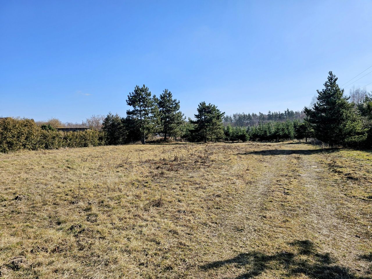 Działka budowlana Osuchów, ul. Leśna. Zdjęcie 5