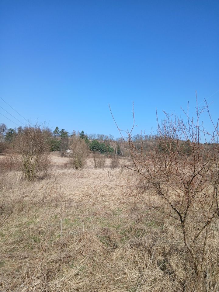 Działka rolno-budowlana Widuchowa, ul. Nadodrzańska. Zdjęcie 9