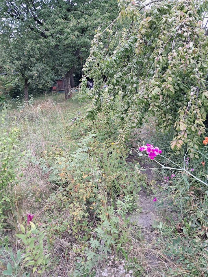 Działka rekreacyjna Gliwice Trynek