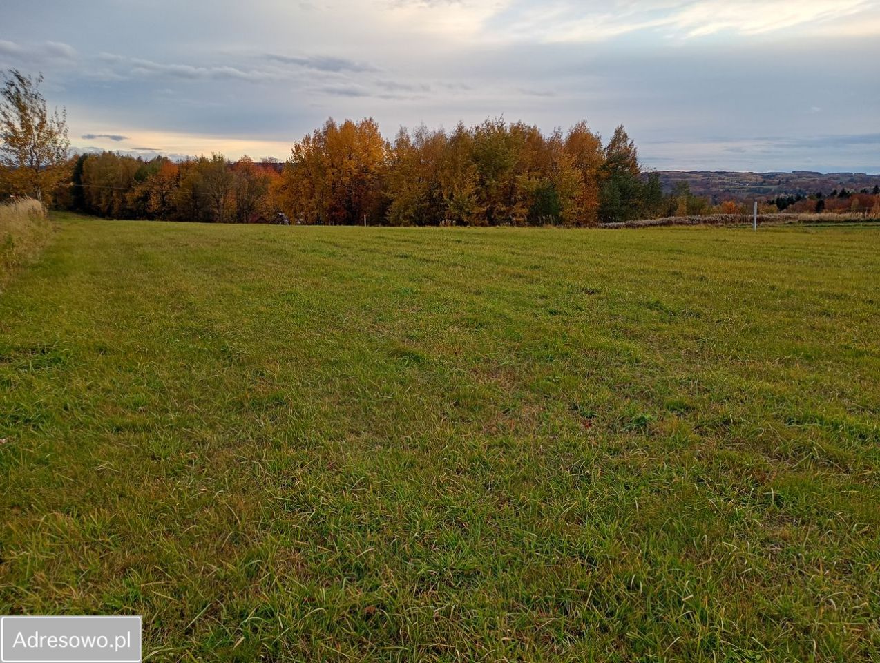 Działka rolno-budowlana Zagorzyce. Zdjęcie 5