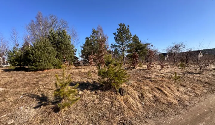 Działka budowlana Stężyca