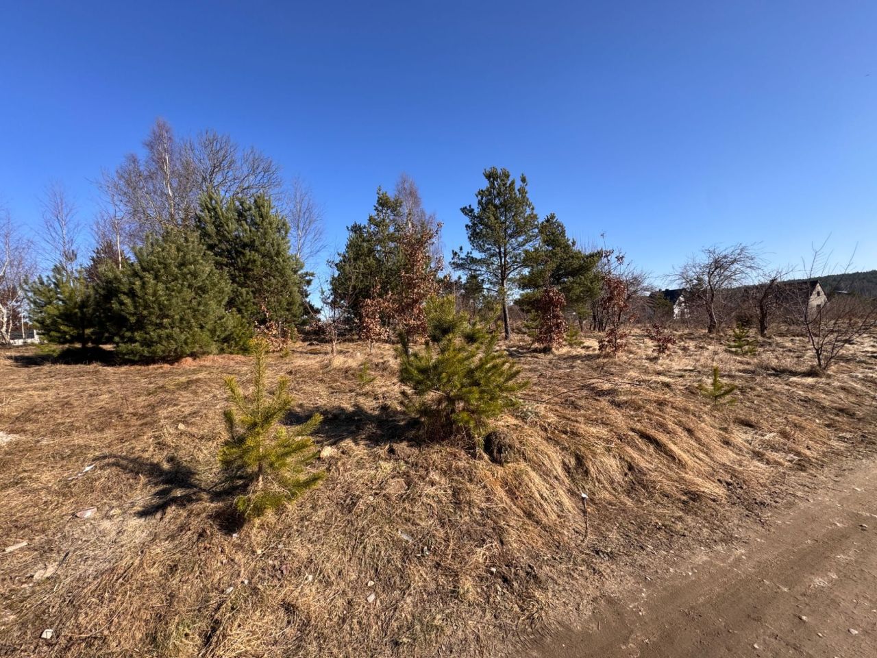 Działka budowlana Stężyca. Zdjęcie 1