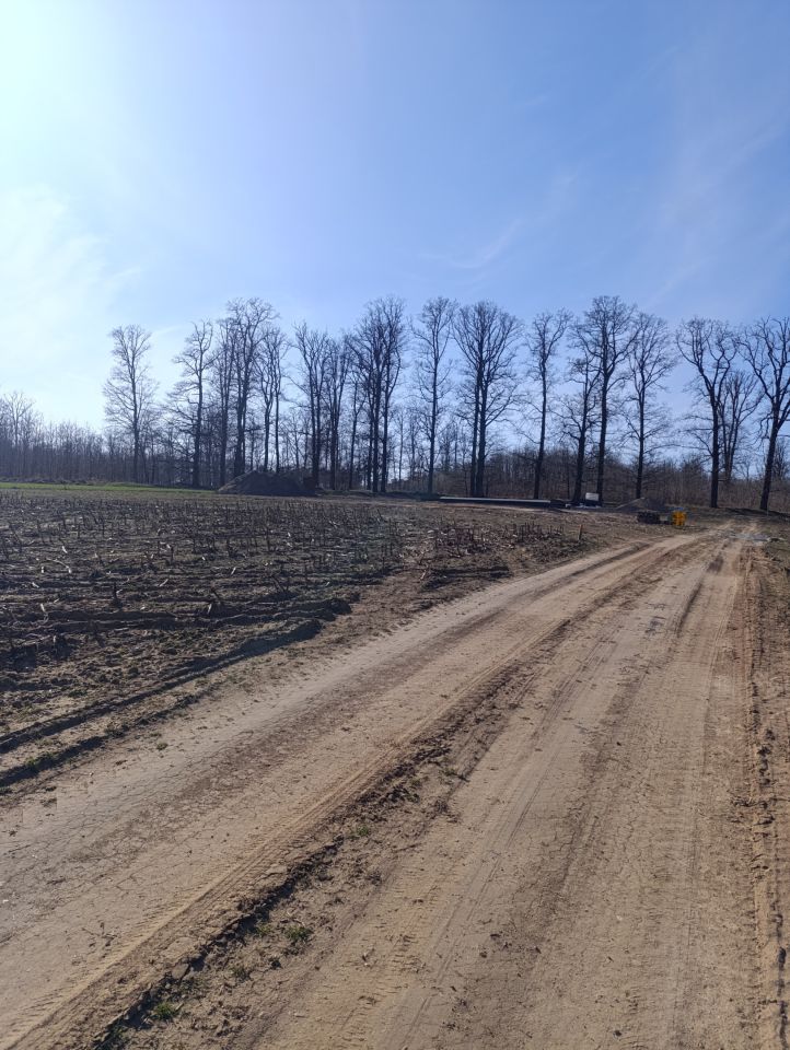 Działka budowlana Izabelin. Zdjęcie 3