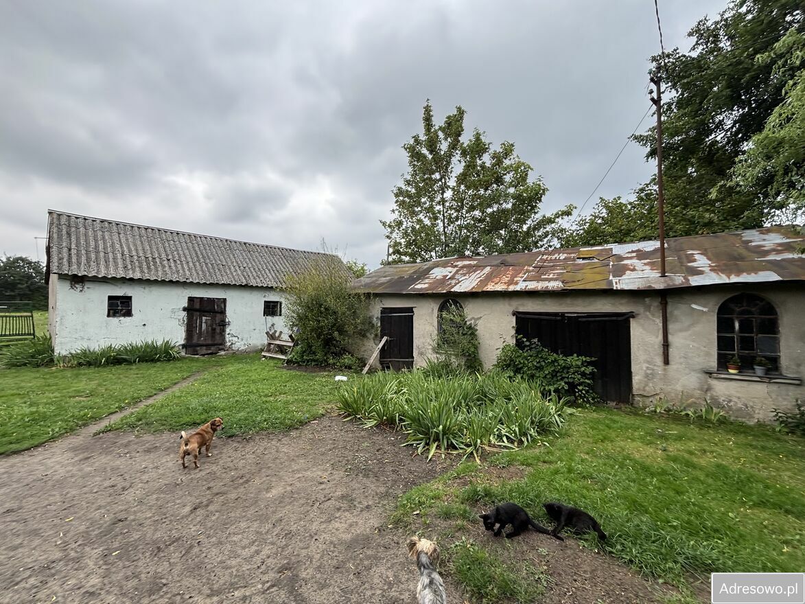 Działka siedliskowa Trzebuń. Zdjęcie 1