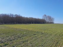 Działka budowlana Piękocin. Zdjęcie 2