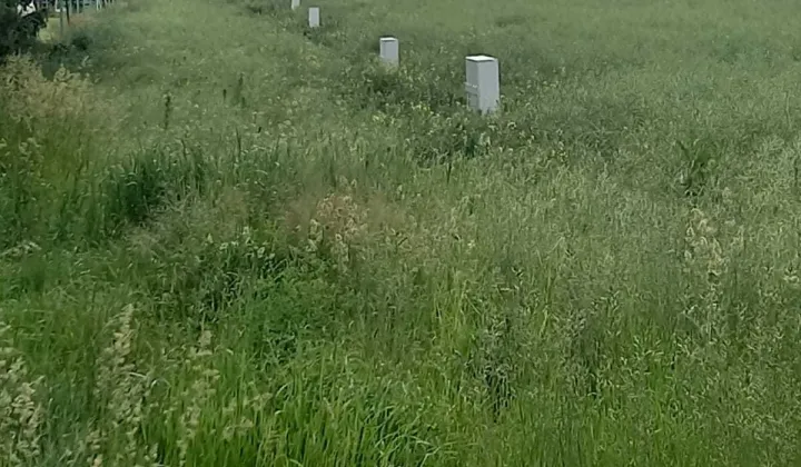 Działka budowlana Olszany